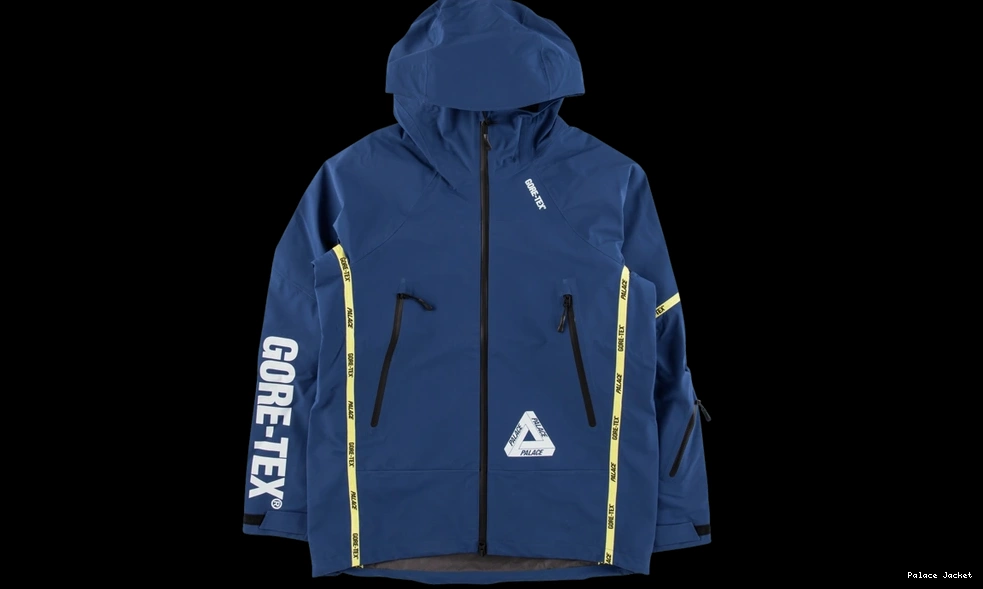 Affordable Palace Gore-Tex Palex Jacket 0721